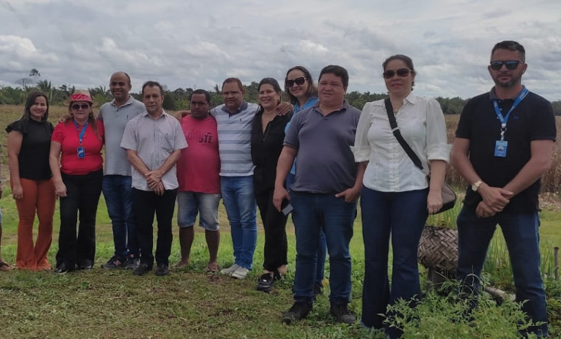 ASN Maranhão - Agência Sebrae de Notícias