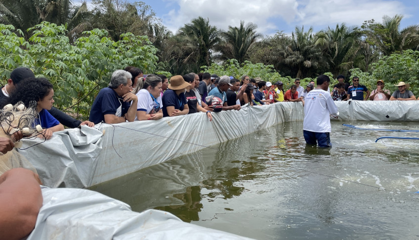 ASN Maranhão - Agência Sebrae de Notícias