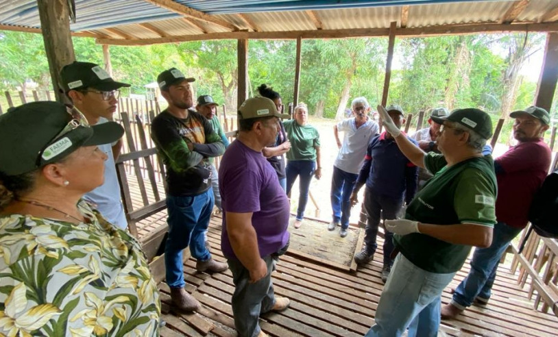 ASN Maranhão - Agência Sebrae de Notícias