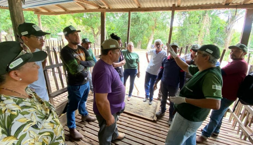 ASN Maranhão - Agência Sebrae de Notícias