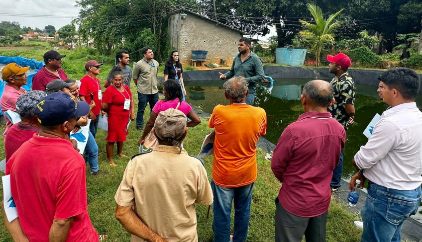 ASN Maranhão - Agência Sebrae de Notícias