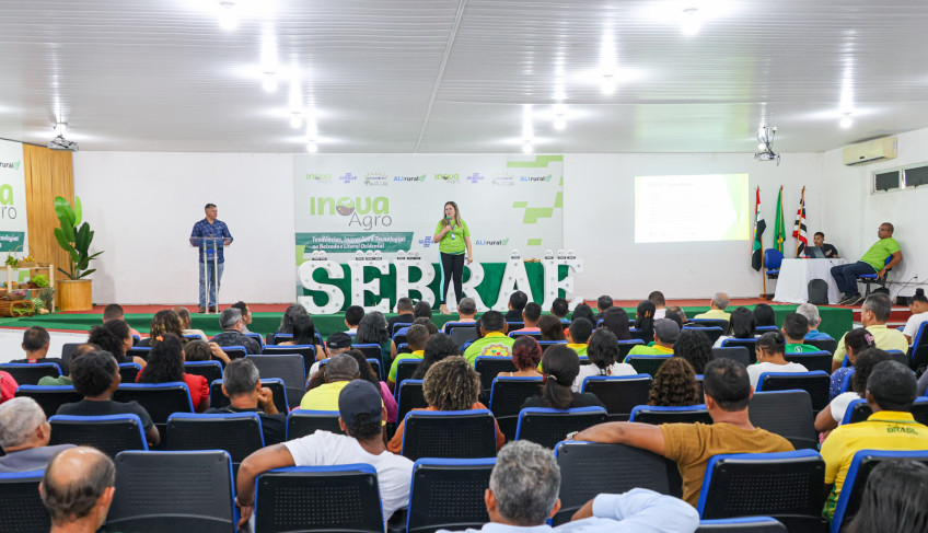 ASN Maranhão - Agência Sebrae de Notícias