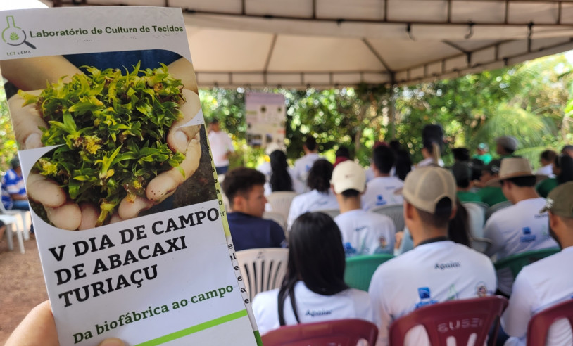 ASN Maranhão - Agência Sebrae de Notícias