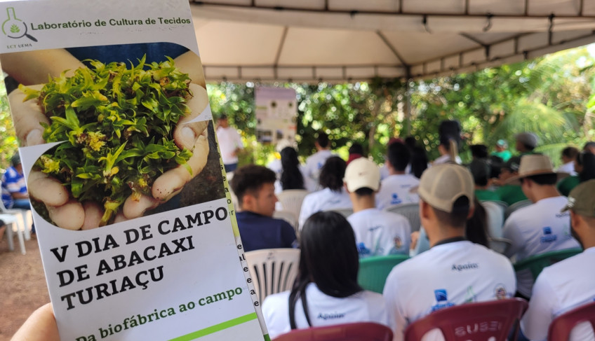 ASN Maranhão - Agência Sebrae de Notícias