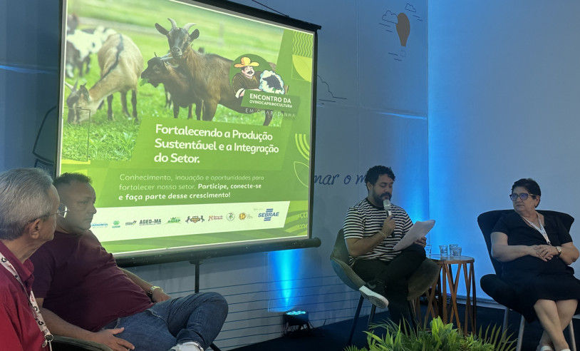 ASN Maranhão - Agência Sebrae de Notícias