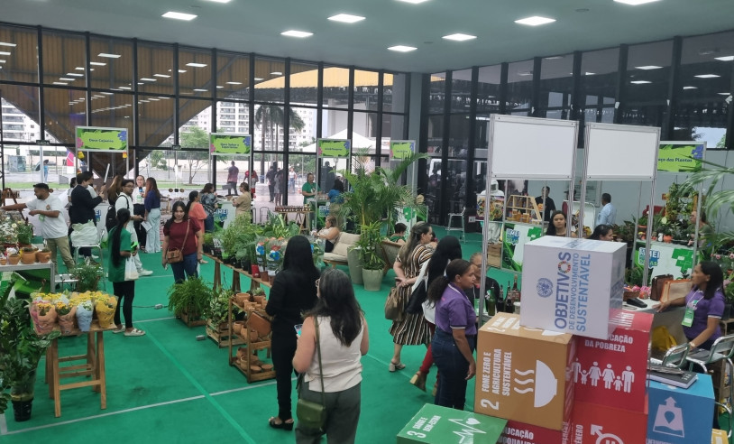 ASN Maranhão - Agência Sebrae de Notícias