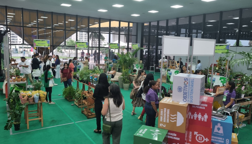 ASN Maranhão - Agência Sebrae de Notícias