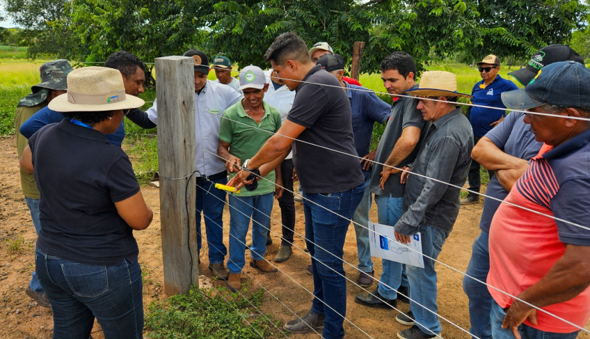 ASN Maranhão - Agência Sebrae de Notícias