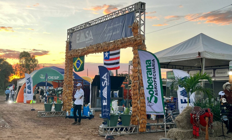 ASN Maranhão - Agência Sebrae de Notícias