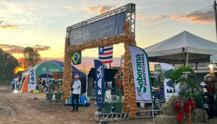 ASN Maranhão - Agência Sebrae de Notícias