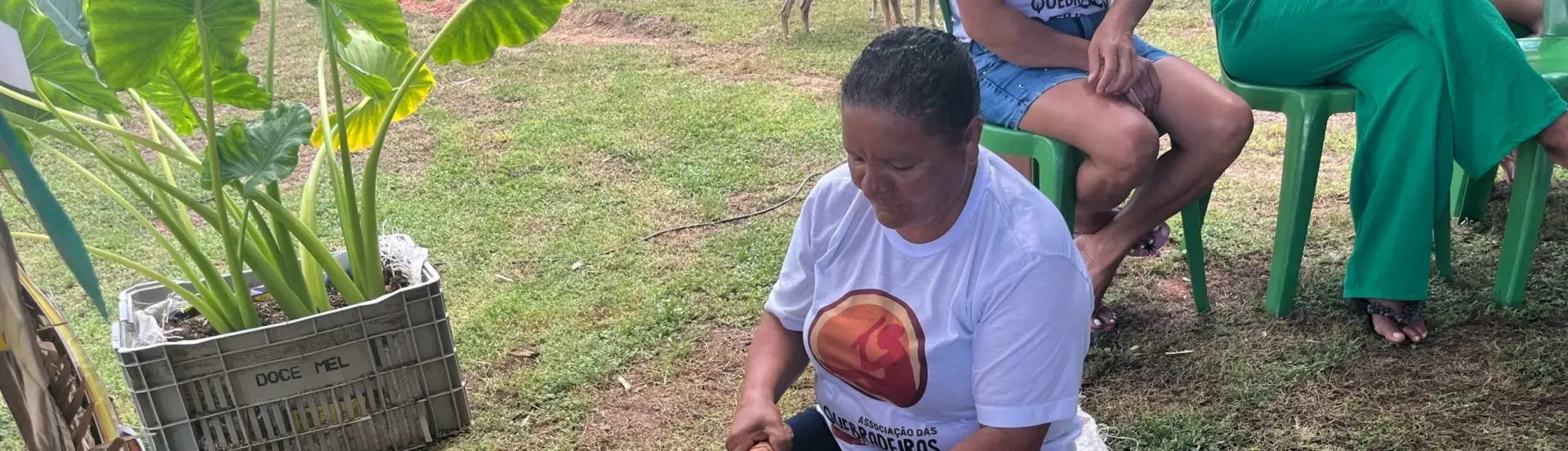 ASN Maranhão - Agência Sebrae de Notícias