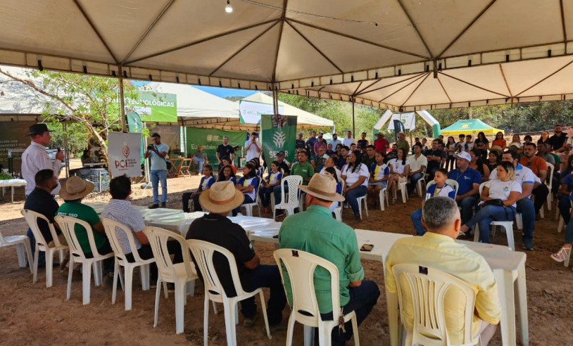 ASN Maranhão - Agência Sebrae de Notícias