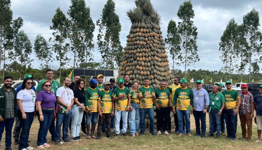 ASN Maranhão - Agência Sebrae de Notícias
