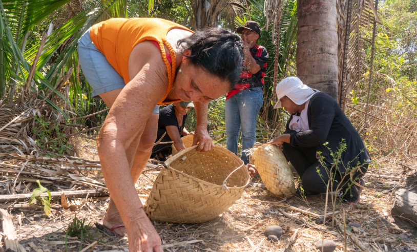 ASN Maranhão - Agência Sebrae de Notícias