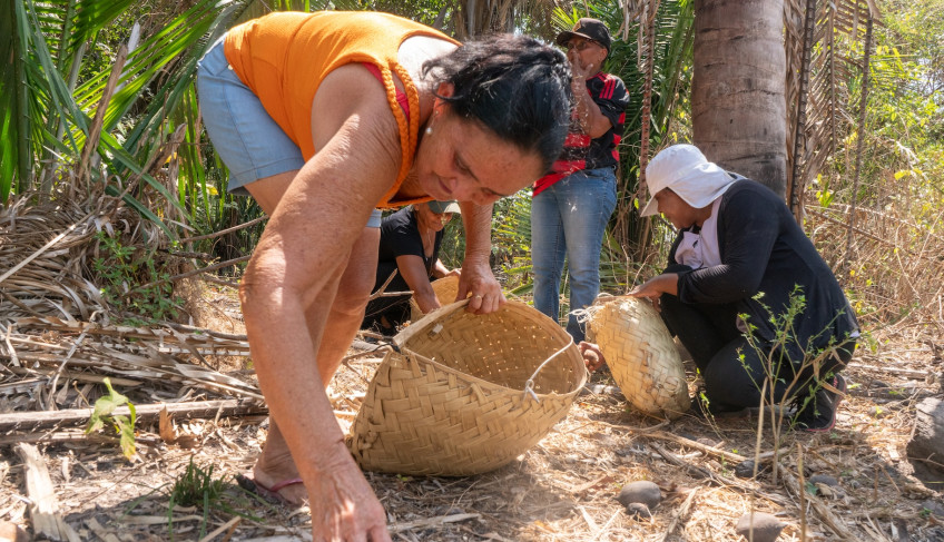 ASN Maranhão - Agência Sebrae de Notícias