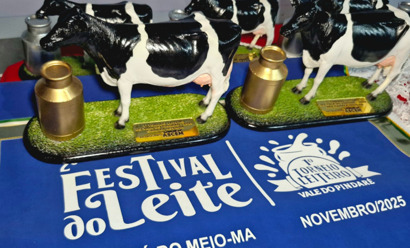 ASN Maranhão - Agência Sebrae de Notícias