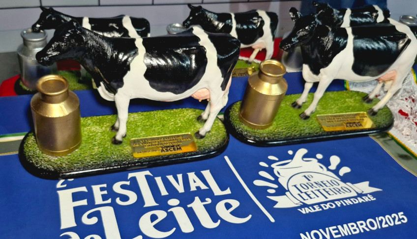 ASN Maranhão - Agência Sebrae de Notícias