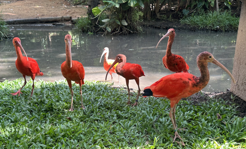 ASN Maranhão - Agência Sebrae de Notícias
