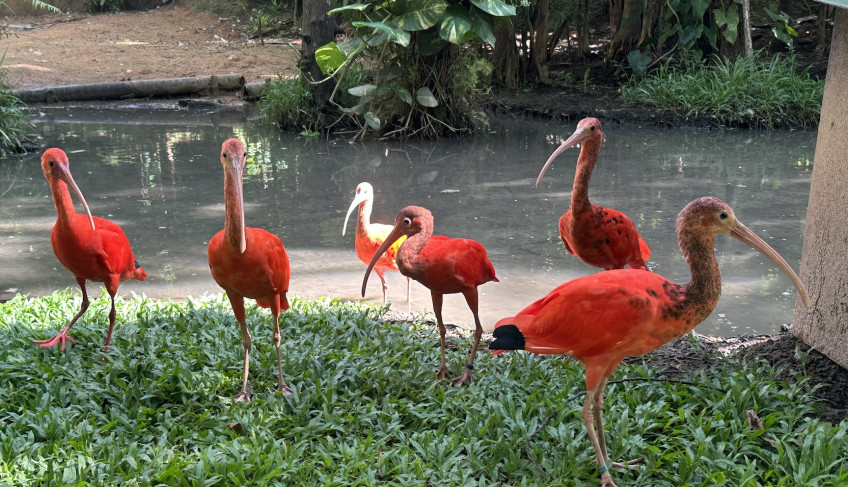 ASN Maranhão - Agência Sebrae de Notícias