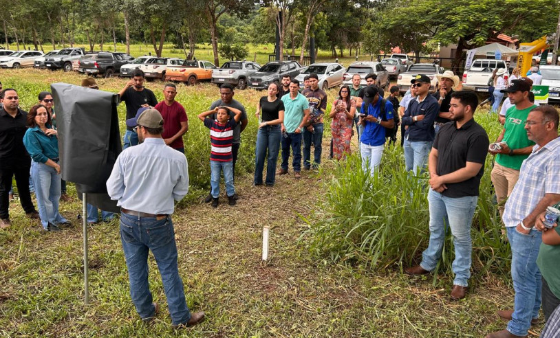 ASN Maranhão - Agência Sebrae de Notícias