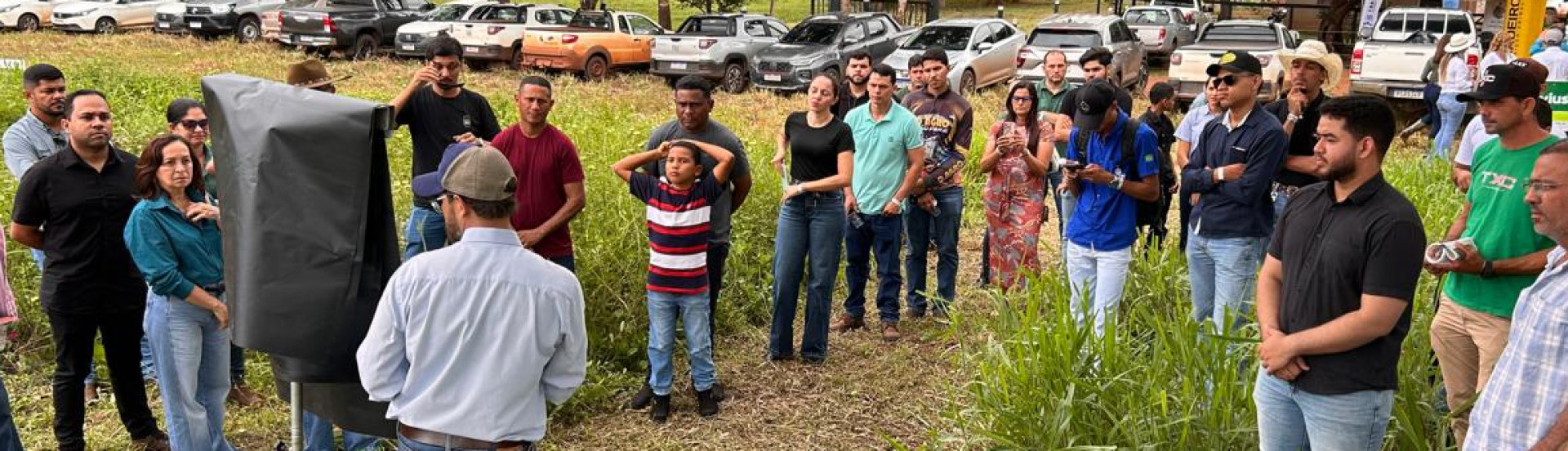 ASN Maranhão - Agência Sebrae de Notícias