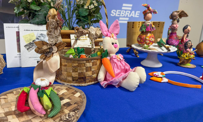 ASN Maranhão - Agência Sebrae de Notícias