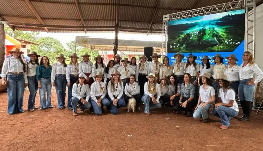 ASN Maranhão - Agência Sebrae de Notícias