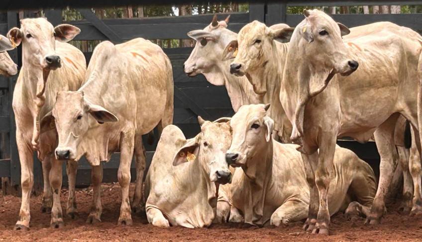 ASN Maranhão - Agência Sebrae de Notícias