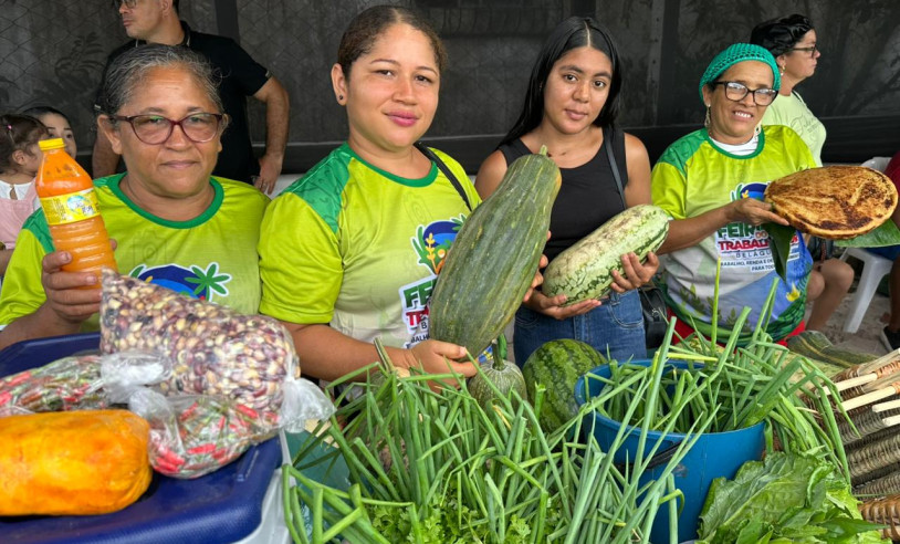 ASN Maranhão - Agência Sebrae de Notícias