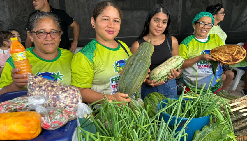 ASN Maranhão - Agência Sebrae de Notícias