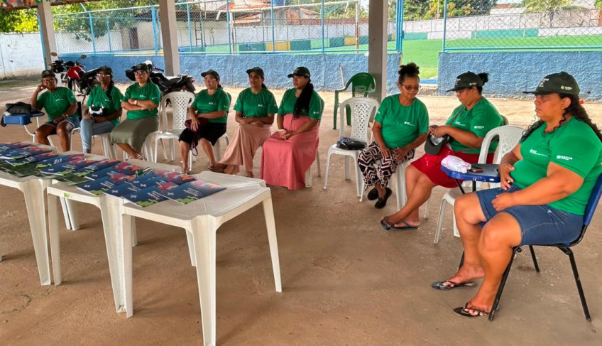 ASN Maranhão - Agência Sebrae de Notícias