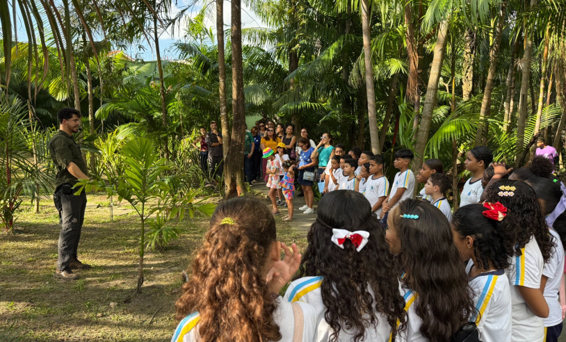ASN Maranhão - Agência Sebrae de Notícias