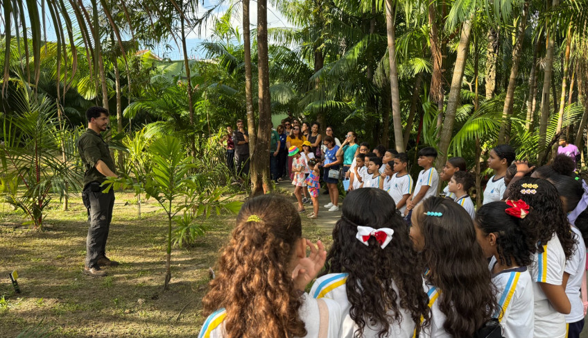 ASN Maranhão - Agência Sebrae de Notícias