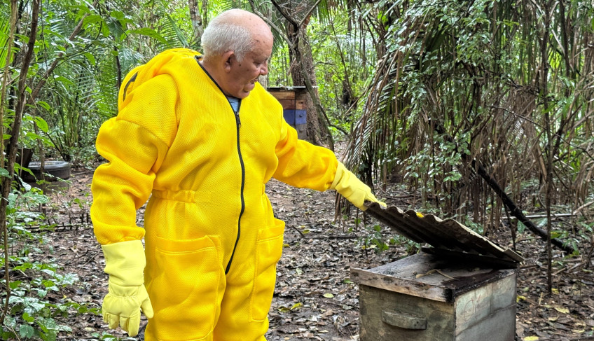 ASN Maranhão - Agência Sebrae de Notícias