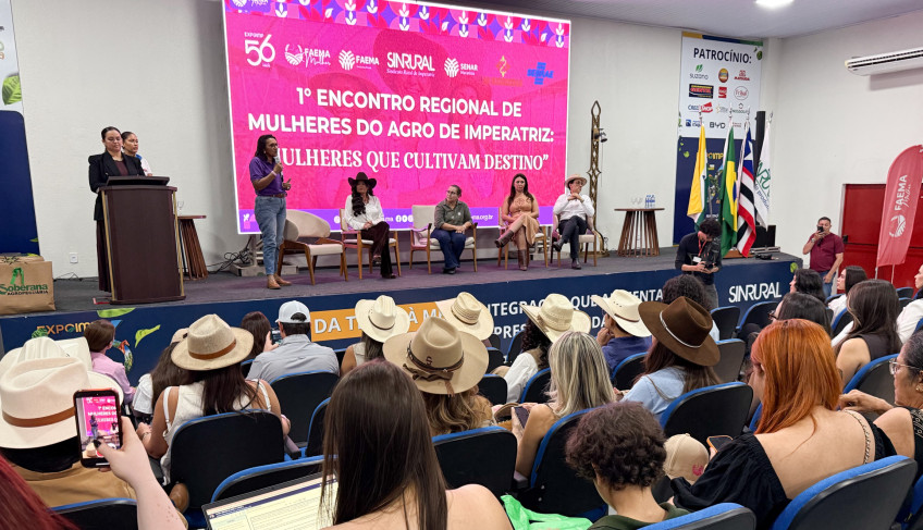 ASN Maranhão - Agência Sebrae de Notícias