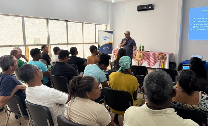 ASN Maranhão - Agência Sebrae de Notícias