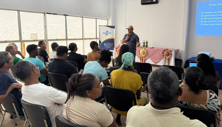 ASN Maranhão - Agência Sebrae de Notícias