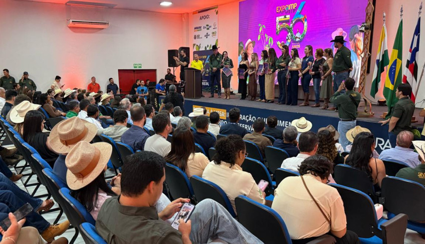 ASN Maranhão - Agência Sebrae de Notícias