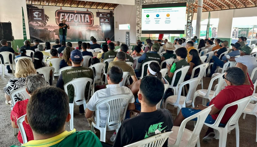 ASN Maranhão - Agência Sebrae de Notícias