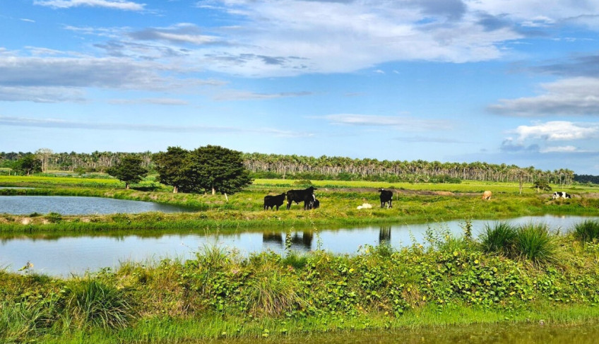 ASN Maranhão - Agência Sebrae de Notícias
