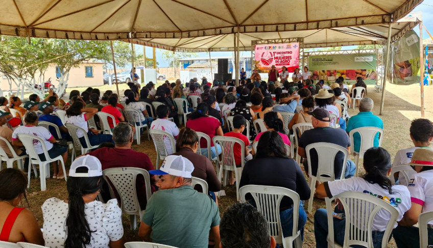 ASN Maranhão - Agência Sebrae de Notícias